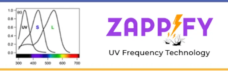 img_zappify